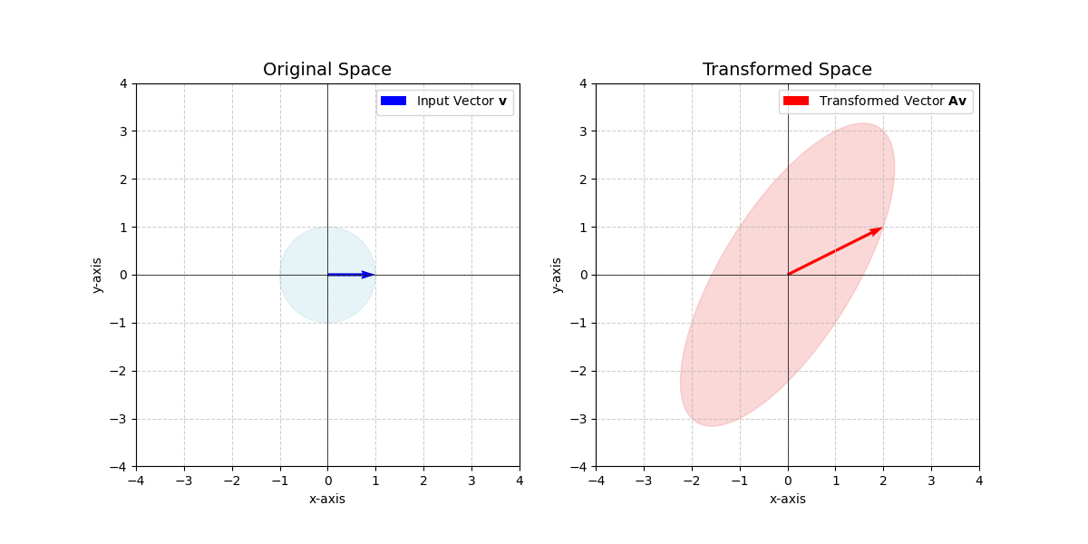 Dynamic visualization of a linear transformation